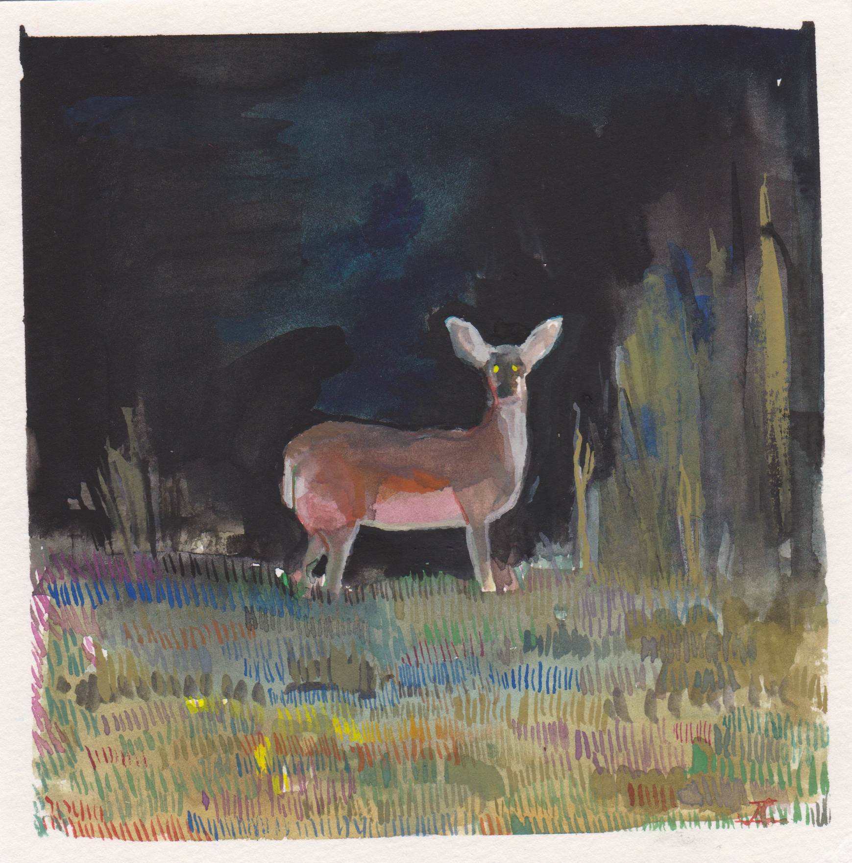 Bambi by Jason Correia